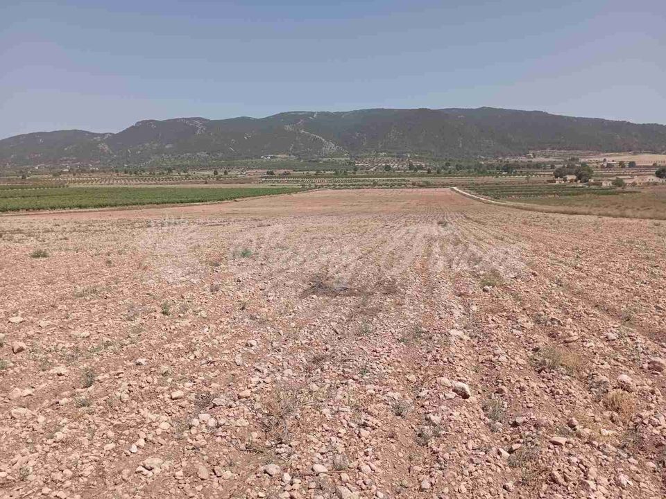 Helårsgrund i Yecla, Murcia - foto 4